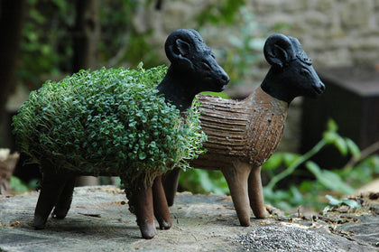 Games, Puzzles & Educational