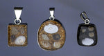 Shell pendant