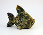 Vela fish