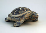 Rustic turtle