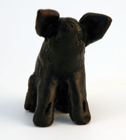 Black pig mini